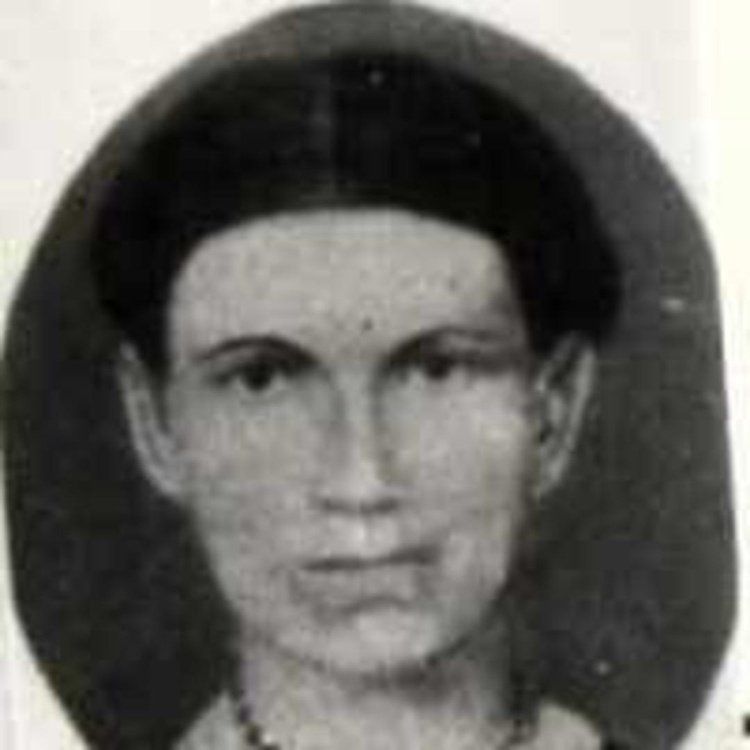 Lydia Maria Fisk Stout (1849 - 1888) Profile